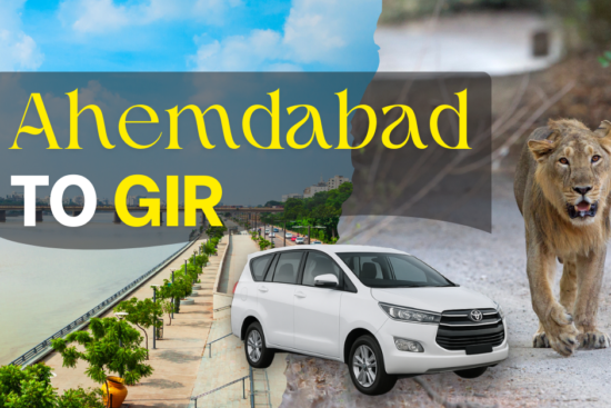 Ahmedabad to Gir cab service – taxi from Ahmedabad to Gir National Park with lion and city view background.