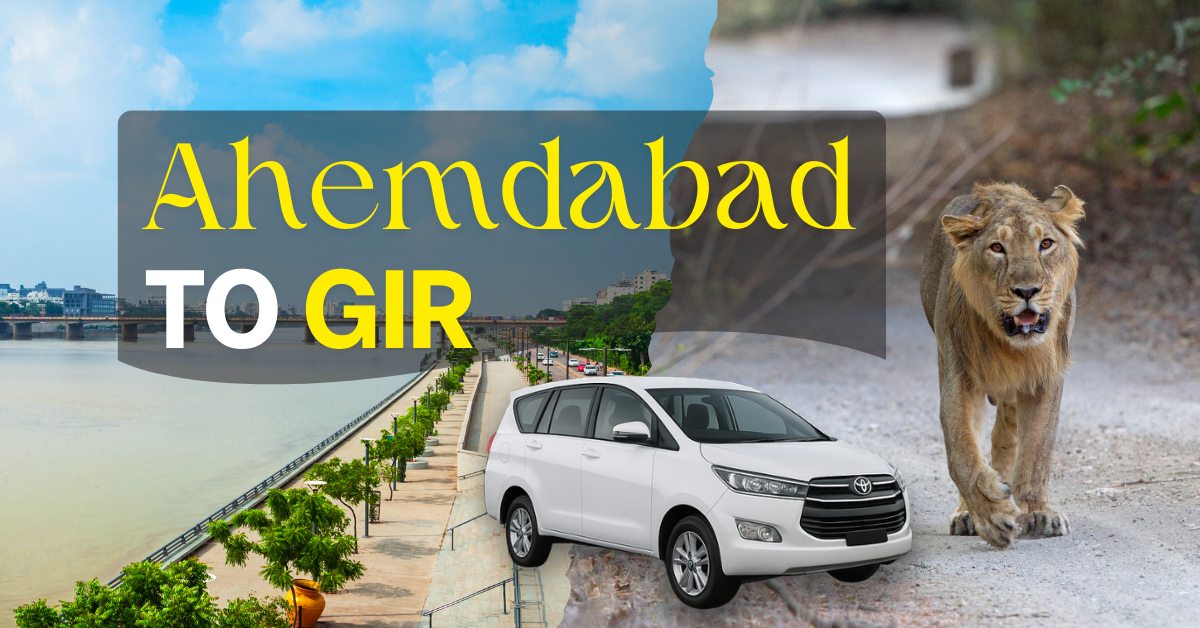 Ahmedabad to Gir cab service – taxi from Ahmedabad to Gir National Park with lion and city view background.