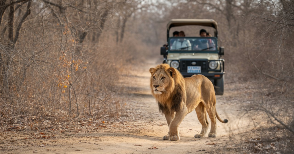 Gir National Park safari during winter – wildlife experience in winter destinations in Gujarat